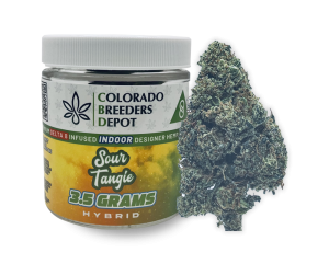 Sour Tangie Strain