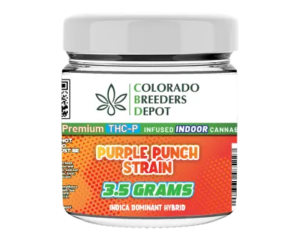 Purple Punch Strain