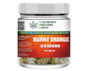 Burnt Orange Strain